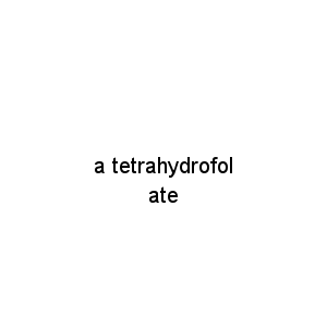 a tetrahydrofolate